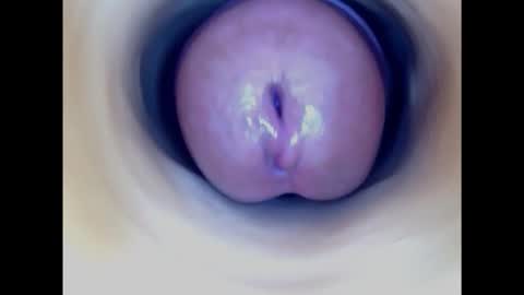 Paula 18 Aninhos online show from February 16, 2025, 9:48 pm