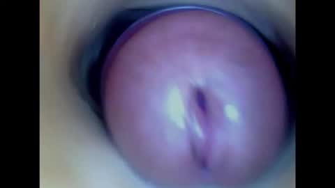 Paula 18 Aninhos online show from February 3, 2026, 6:40 am