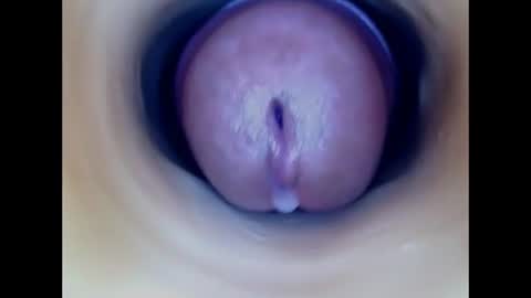 Snapshot of paulainoscente chatting on July 1, 2026, 2:07 pm Paula 18 Aninhos online show from July 1, 2026, 2:07 pm