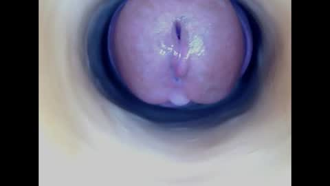 Snapshot of paulainoscente chatting on July 18, 2026, 2:27 am Paula 18 Aninhos online show from July 18, 2026, 2:27 am