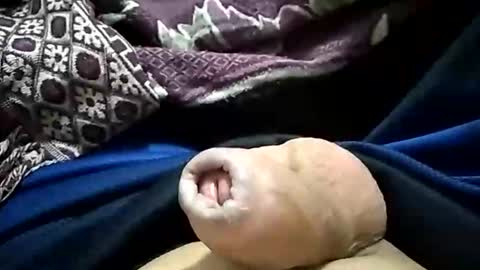 carlosjdo online show from October 29, 2025, 3:09 am