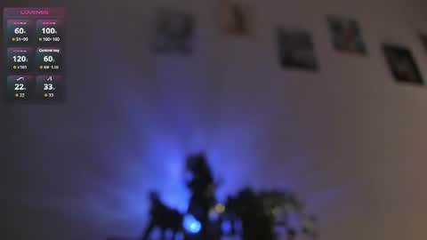 Dani online show from July 29, 2026, 12:47 pm