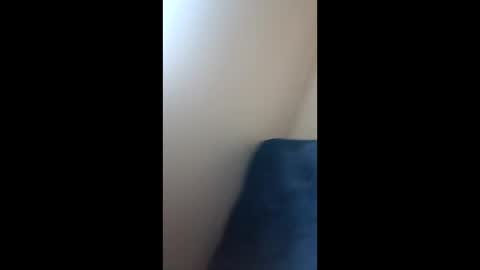 Paw online show from December 21, 2024, 9:23 am