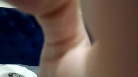 Paw online show from December 26, 2024, 6:52 am