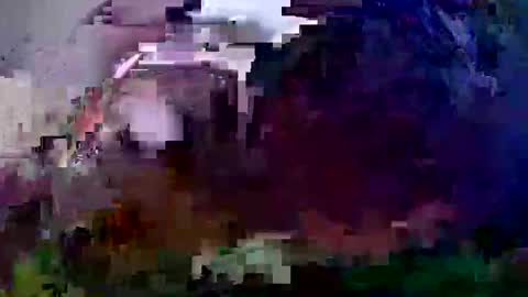 Snapshot of pay2playangel12 chatting on December 21, 2024, 10:06 am Coco channel online show from December 21, 2024, 10:06 am