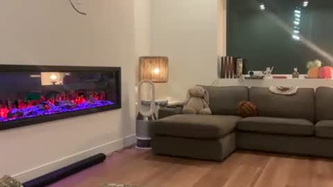 Effyyyyy online show from April 1, 2026, 4:46 am