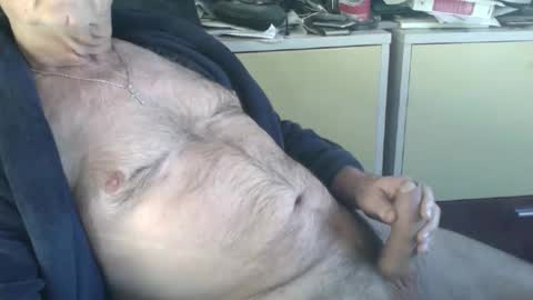 pegaso1000 online show from January 15, 2026, 9:58 am