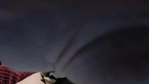 PeggySoft online show from October 13, 2025, 4:45 am