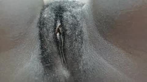 pennyna1 online show from October 5, 2025, 11:35 pm