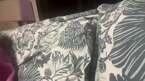 penutbutter691 online show from November 19, 2025, 11:27 pm