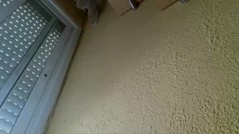 perales_12345 online show from April 19, 2026, 10:25 am