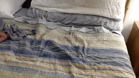 perdidobch online show from December 13, 2024, 1:44 pm