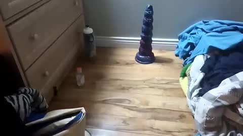 perdz768563 online show from March 22, 2026, 11:30 pm