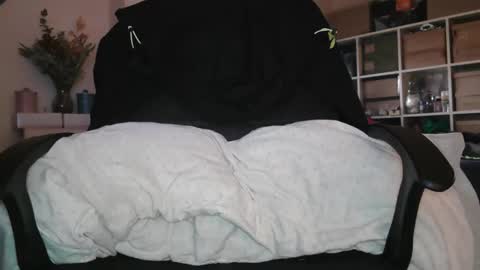 peregrintpelfox online show from January 14, 2026, 9:04 am