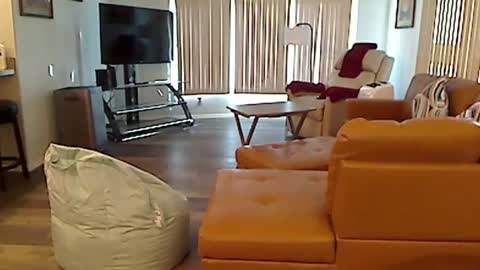 perfecto1957 online show from December 3, 2024, 7:55 pm