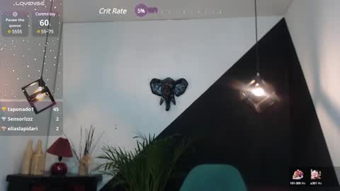   online show from January 25, 2025, 6:02 pm