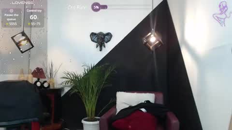   online show from January 31, 2025, 10:10 pm