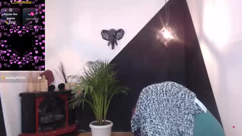   online show from February 13, 2025, 11:58 pm