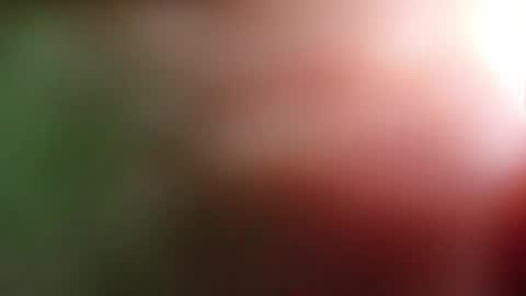 perla_lovely online show from May 1, 2026, 12:54 pm