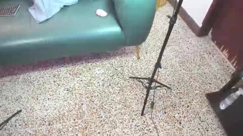 Peter online show from February 21, 2026, 6:09 pm