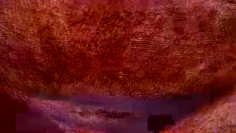 Snapshot of peterpeteropoulos chatting on July 20, 2026, 7:05 pm peterpeteropoulos online show from July 20, 2026, 7:05 pm