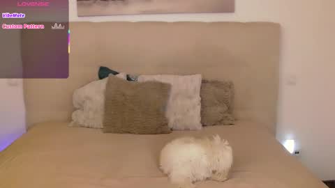 Peters Emily online show from September 14, 2025, 10:20 pm