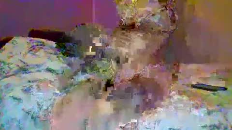 Snapshot of petite_baby23 chatting on May 23, 2026, 10:36 pm petite_baby23 online show from May 23, 2026, 10:36 pm