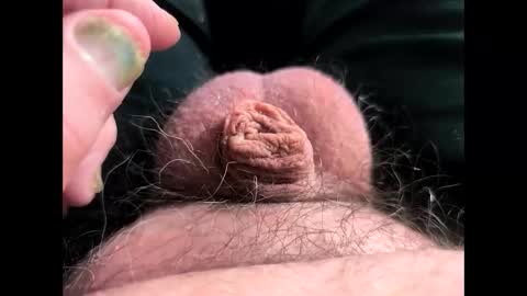 petrol63102 online show from March 7, 2026, 5:21 pm