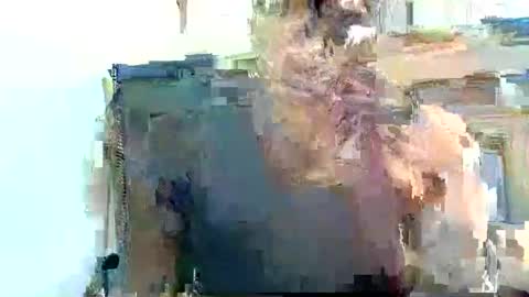 Pfani online show from April 19, 2026, 12:15 pm