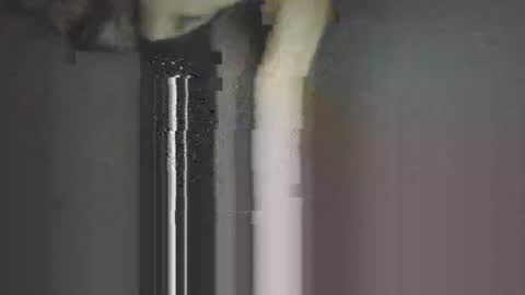 Snapshot of piggyes74 chatting on September 21, 2025, 10:44 pm piggyes 74 online show from September 21, 2025, 10:44 pm