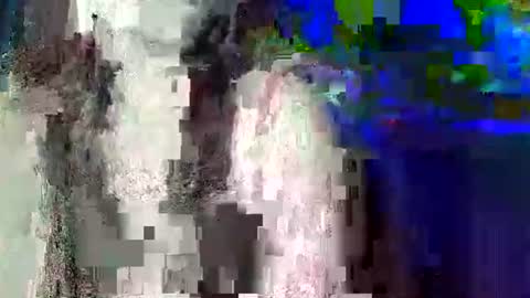 Snapshot of pinayhot_carol chatting on June 9, 2026, 3:01 pm Carol online show from June 9, 2026, 3:01 pm