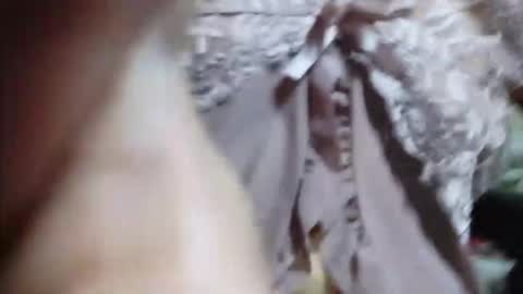 pinaysunday online show from March 24, 2026, 12:15 am