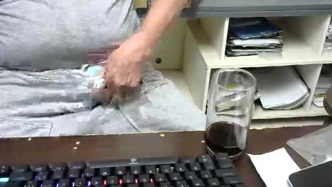 pinheiro86 online show from November 26, 2025, 11:22 am