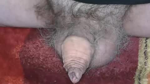 Snapshot of pinholder chatting on January 8, 2025, 8:29 pm Michael online show from January 8, 2025, 8:29 pm