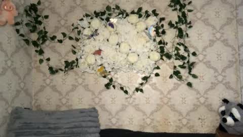 Incubus online show from February 17, 2026, 12:34 pm