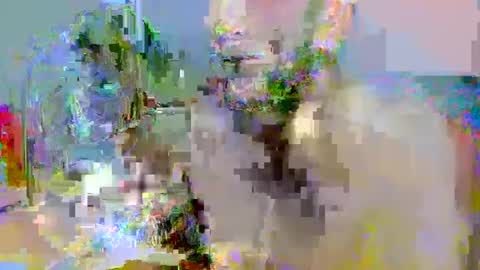pipe_sexxx online show from October 14, 2025, 2:34 am