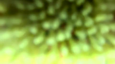 Mike online show from February 4, 2026, 9:09 pm