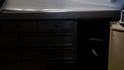 Snapshot of pleasantdinosaurus7537 chatting on November 17, 2025, 1:00 am pleasantdinosaurus7537 online show from November 17, 2025, 1:00 am