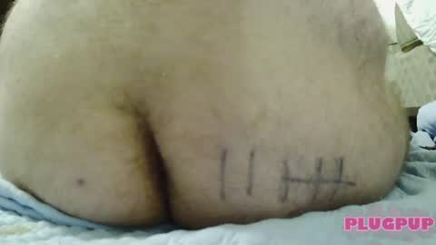 Snapshot of plugpup chatting on August 1, 2026, 2:38 pm PlugPup online show from August 1, 2026, 2:38 pm