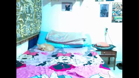 Gian online show from January 5, 2025, 8:42 pm