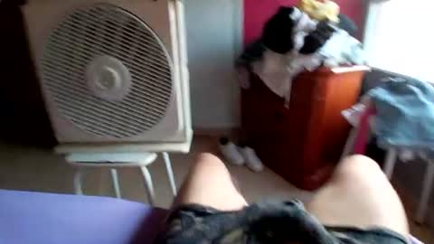 pollonyhuevosgordos online show from July 17, 2026, 5:14 am