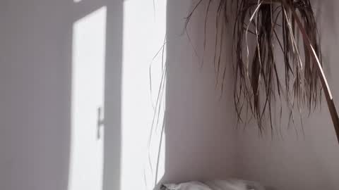 Polina online show from October 17, 2025, 6:27 am