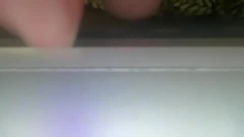 Snapshot of ponchynyc chatting on December 30, 2024, 12:31 pm PONCH online show from December 30, 2024, 12:31 pm