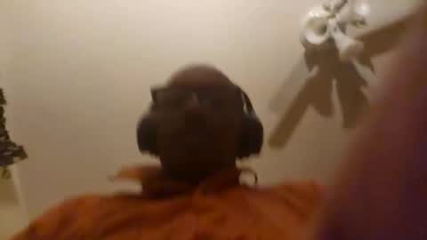 Snapshot of poobear53 chatting on April 8, 2026, 7:19 am Phil online show from April 8, 2026, 7:19 am