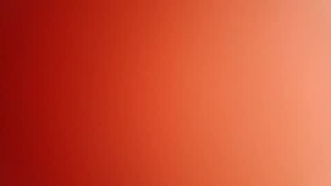 pop297248 online show from April 14, 2026, 2:45 pm