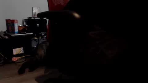 porkdaddy online show from September 9, 2025, 5:45 pm