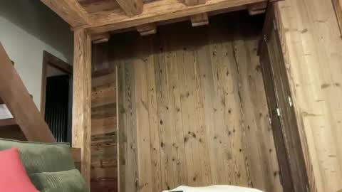 porntoyndr2 online show from January 13, 2025, 1:56 am