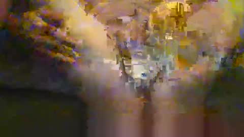 portal3444 online show from November 30, 2025, 8:35 pm