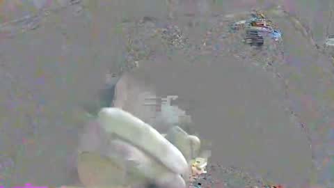 ppsmall_17 online show from October 17, 2025, 10:34 pm