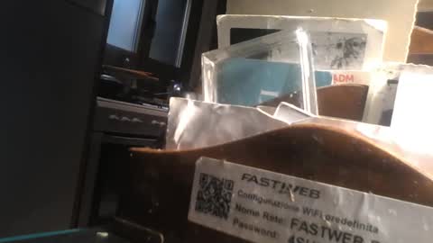 predator19491 online show from April 11, 2026, 8:07 am